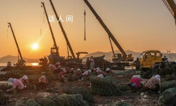 核污水排海后的生蚝养殖者 有人提前卖掉有人投入百万