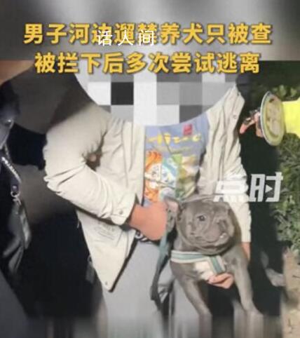 官方辟谣郑州法斗主人被罚5千 称还在走程序