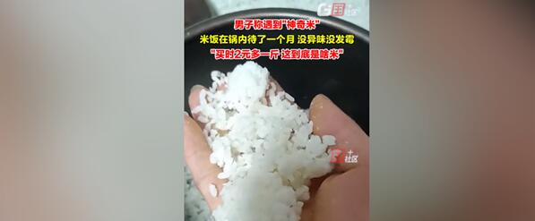 男子称买到神奇米:煮好1个月没异味